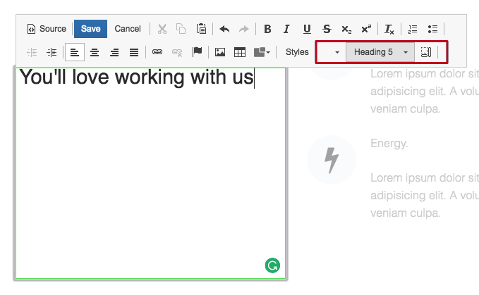 Editor window