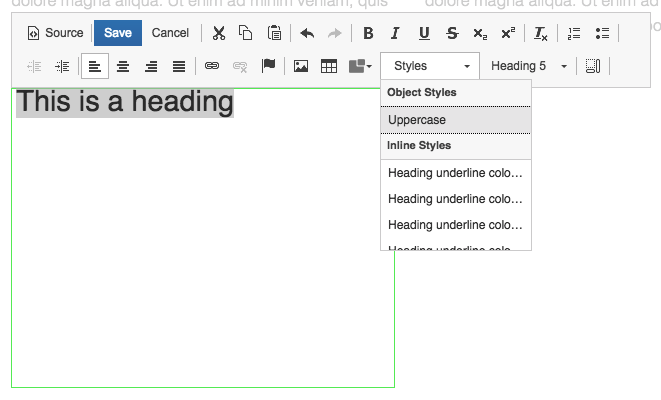 Text highlighted in editor